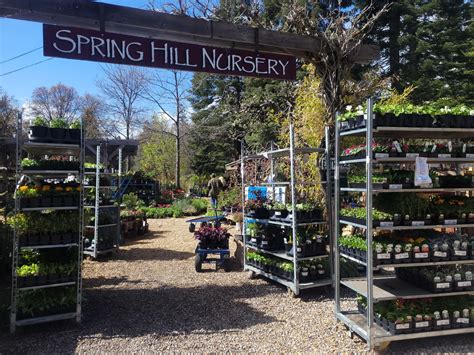 spring hill nursery outlet.
